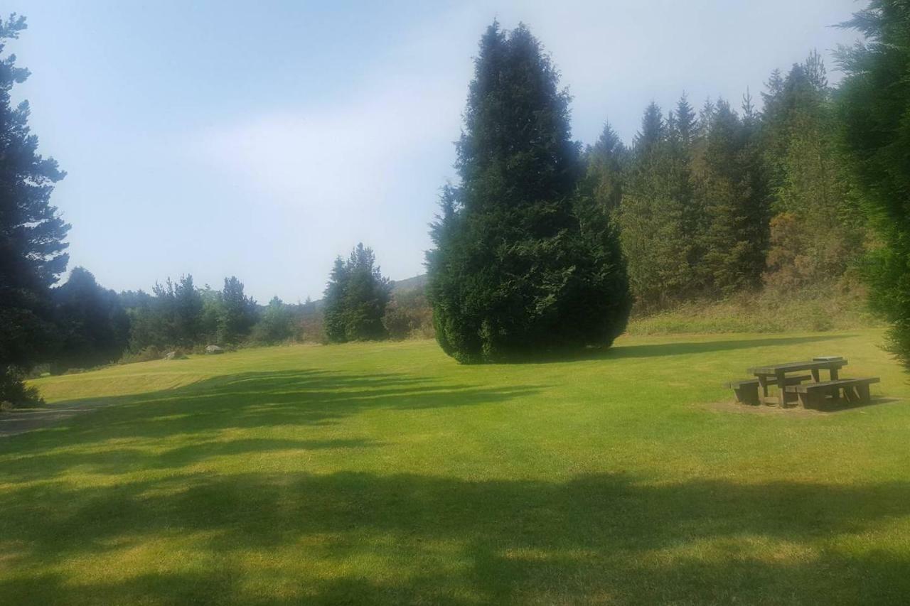 Moneydarragh Cottage Annalong Esterno foto